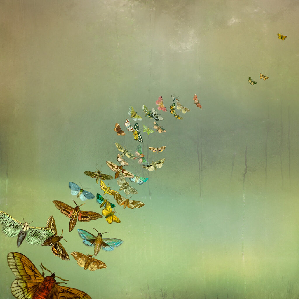 Maggie Taylor, Happiness, 2015, digital collage, archival inkjet print, 15 x 15 inches (courtesy of the artist)