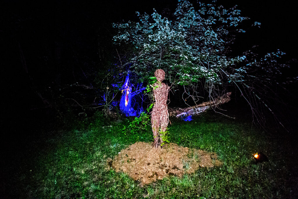 Anki King - “Human Nature” (2026), branches and vines over armature, 72 x 12 x 8 inches. Photo Credit: Fred Hatt