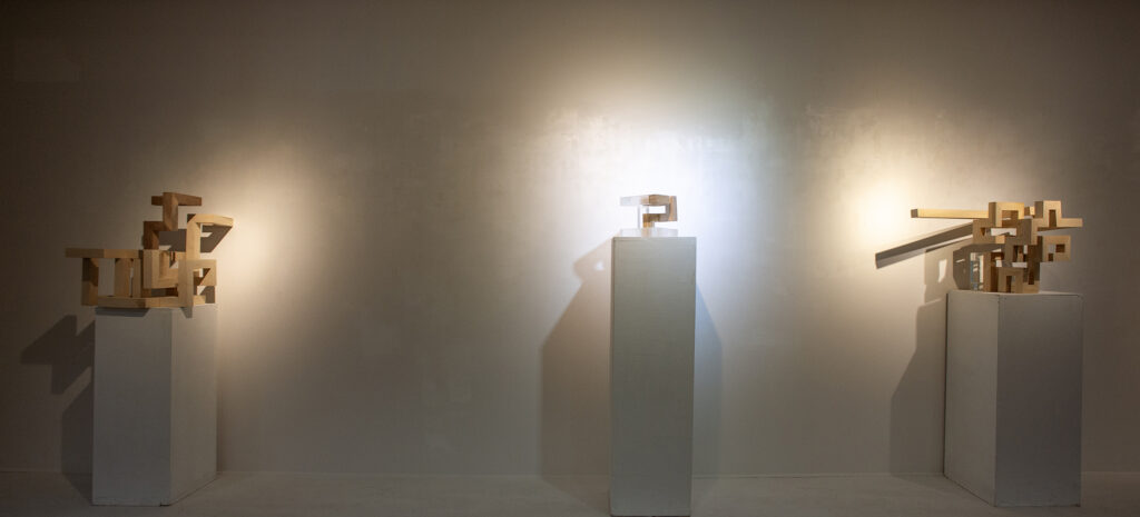 Installation View of “Maze”