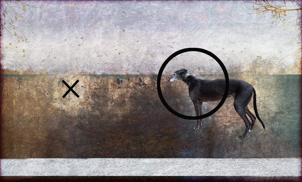 Zsuzsanna Enyedi: Blind spot II., 2026, digital print on plastic board 80 x 132 cm