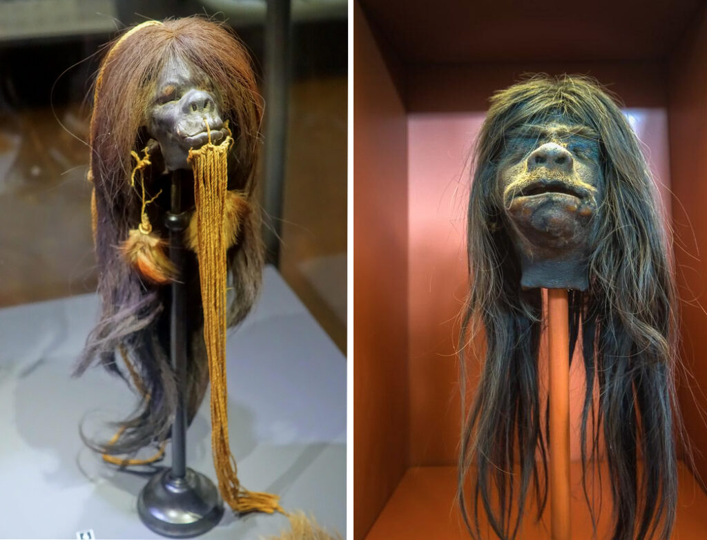William Jamieson acquired not only the Egyptian collection from the old Niagara Falls Museum but also many of its other ethnographic and natural history objects—including a number of shrunken heads (tsantsas)